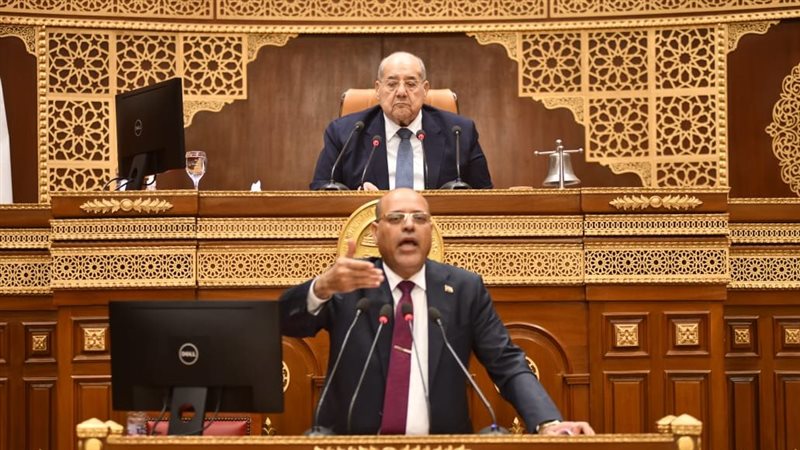 وزير العمل أمام جلسة