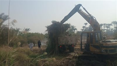 انطلاق حملة لنزع الحشائش وورد النيل وتطهير ترع أسيوط 