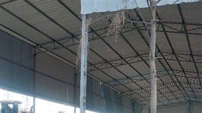 رئيس حي شرق بالإسكندرية: إيقاف وإزالة أعمال مخالفات بناء بمنطقة أبيس الثانية