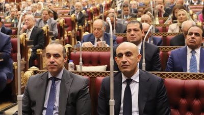 نائبة تستعرض طلبًا أمام الشيوخ بشأن تحقيق الانضباط في المدارس