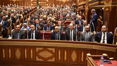 مطالب بالشيوخ لتوفير ضمانات تحقيق جودة التعليم 