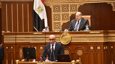 وزير التعليم أمام الشيوخ: التوسع في إنشاء المدارس اليابانية أولوية قصوى 