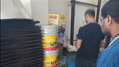 إعدام 14 طن أغذية متنوعة غير صالحة للاستهلاك الآدمي في الدقهلية 