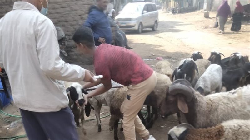 مدير مديرية الطب
