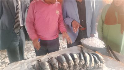 ضبط 10 أطنان سمك وملح طعام مجهول المصدر بالمنوفية
