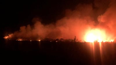 حريق فى مزرعة الصرف الصحى بسوهاج 