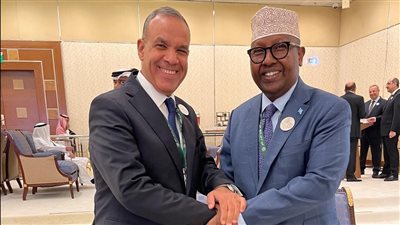 وزير الخارجية لنظيره الصومالى: منطقة القرن الإفريقي تتصل بشكل مباشر بالأمن القومي المصري