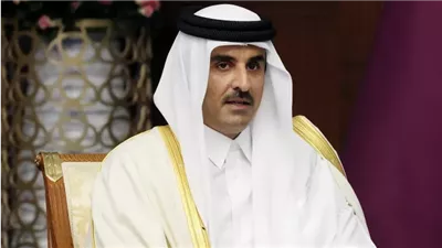 أمير قطر: الاعترافات بدولة فلسطين مفادها أن العنف لن ينهي القضية الفلسطينية