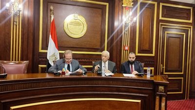 حقوق إنسان الشيوخ تناقش دراسة عن سياسات الحماية الاجتماعية في ظل التنمية المستدامة