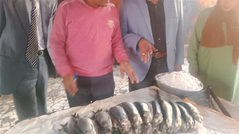 ضبط 10 أطنان سمك