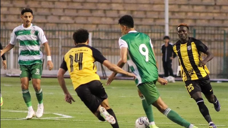 دوري المحترفين 