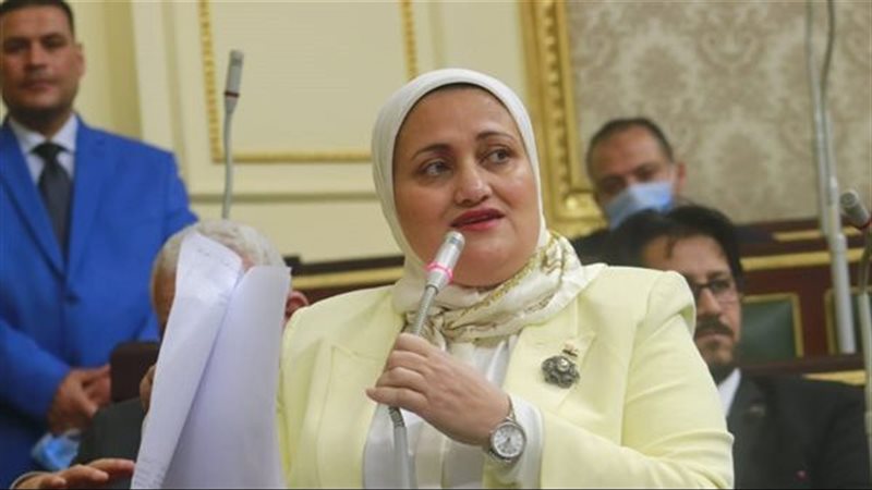 النائبة سناء السعيد