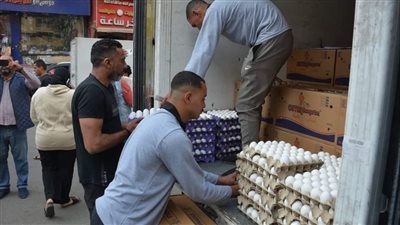 الجيزة تواصل توفير بيض المائدة بسعر مخفض للمواطنين (صور)