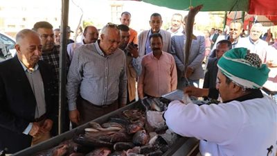 خلال جولته بمركز الداخلة، محافظ الوادي الجديد يتفقد مبادرات بيع السلع الغذائية