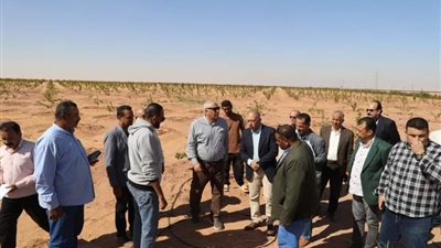 الزملوط يختتم جولته بالداخلة ويتفقّد مشروعات الاستثمار الزراعي