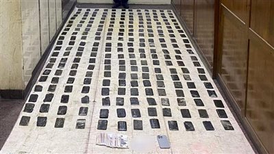 ضبط 3 عناصر إجرامية بالبحيرة والإسكندرية وبحوزتهم كميات من المخدرات بـ 5 ملايين جنيه 