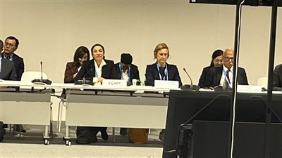 وزيرة البيئة تدعو لإصلاح نظام تمويل المناخ في مؤتمر COP 29 