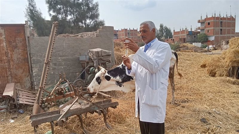 جامعة الزقازيق أنهت