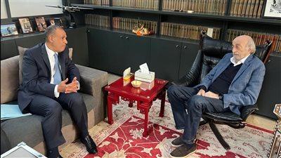 وزير الخارجية يؤكد رفض مصر لمحاولات تهجير سكان لبنان