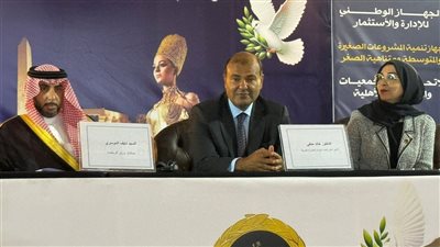 اتحاد المستثمرات العرب يكرم خالد حنفي