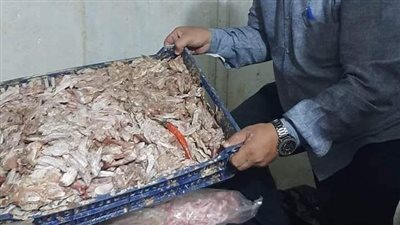 تموين الجيزة تضبط صاحب محل لبيع اللحوم الفاسدة في البدرشين(صور)