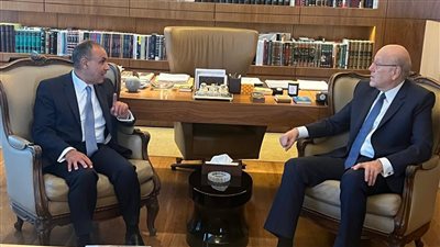 وزير الخارجية يؤكد لنجيب ميقاتي استمرار مصر فى تقديم كافة صور الدعم للبنان