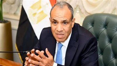 وزير الخارجية على متن طائرة المصريين العائدين من لبنان: لن ندخر جهدًا لدعم الجالية (صور)