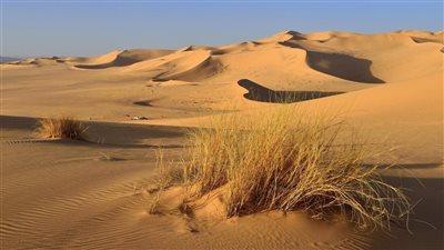 محافظة المنيا تحذر من إلاعلانات الوهمية لبيع الأراضي في الظهير الصحراوي