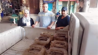 ضبط 2 طن لحوم مجمدة مجهولة المصدر بالجيزة (صور)