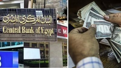 السر في التعقيم، خبير اقتصادي يكشف أسباب سحب المركزي 1.37 تريليون جنيه من البنوك