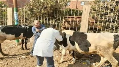 موعد انطلاق الحملة القومية الثالثة لتحصين الماشية بالشرقية