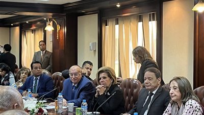 مشيرة خطاب: دستور 2014 أكبر إنجاز حققته الدولة في حقوق الإنسان 