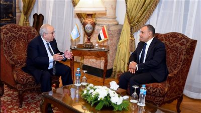 وزير الخارجية: صون مصالح السودان الهدف الأساسي للتحركات المصرية 