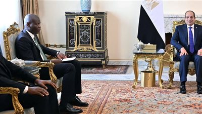 السيسي يؤكد الاعتزاز بعلاقات الأخوة التاريخية التي تربط مصر وجنوب إفريقيا