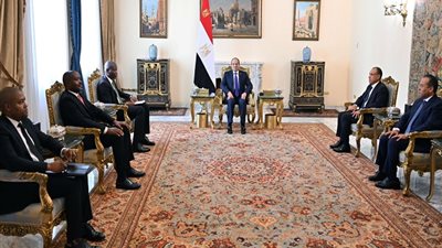 السيسي يؤكد أهمية العمل مع جنوب أفريقيا لوضع أولويات التنمية الأفريقية على الأجندة الدولية