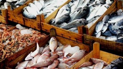 البلطي بـ 63 جنيها، أسعار الأسماك اليوم الجمعة في سوق العبور