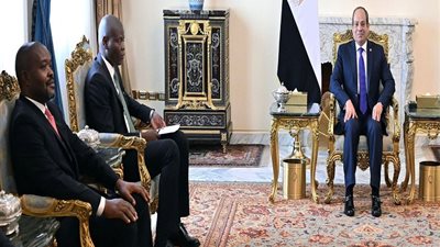 السيسي يستقبل وزير العلاقات الدولية والتعاون بجنوب أفريقيا.. الرئيس يؤكد أهمية العمل المشترك لوضع أولويات التنمية الأفريقية على الأجندة الدولية.. والتقدم نحو تحقيق السلم والأمن بالقارة السمراء