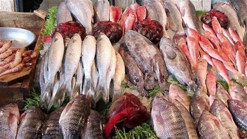 أسعار الأسماك والجمبري