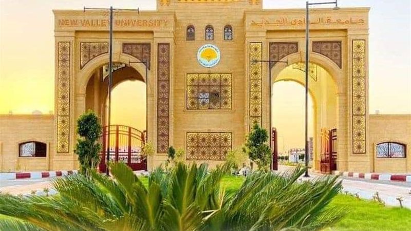جامعة الوادي الجديد،