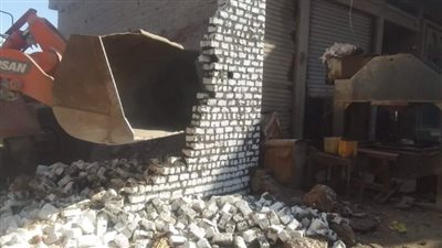 إزالة 22 حالة تعدٍ على الأراضي الزراعية وأملاك الدولة في الجيزة (صور)