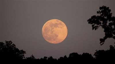 قمر القندس يزين السماء اليوم، والبحوث الفلكية تكشف الموعد والتفاصيل