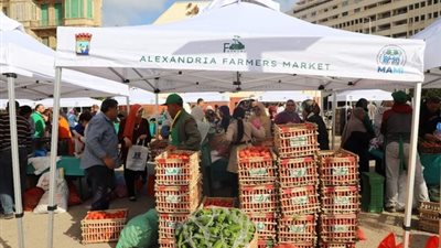 أخبار مصر: افتتاح أسواق اليوم الواحد بتخفيضات كبيرة، تحذير من زلزال عنيف، انخفاض سعر اللحوم والذهب، حسم مصير الفائدة الأمريكية