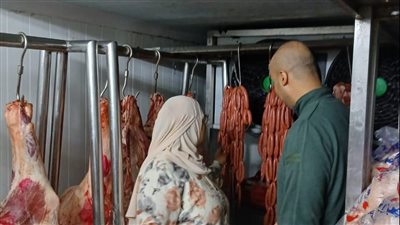 ضبط 3 أطنان أغذية ولحوم مجمدة فاسدة خلال حملات مكبرة بالدقهلية (صور)