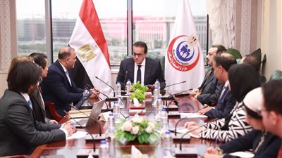 وزير الصحة يبحث مع وفد إحدى الشركات سبل التعاون في القطاع الصحي