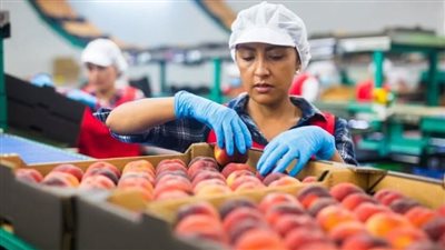 رفع الحظر عن المنتجات الغذائية المصرية ذات الأصل الحيواني بإقليم كردستان العراق