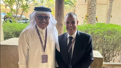 وزيرا خارجية مصر والبحرين يؤكدان أهمية الوقف الفوري لإطلاق النار في غزة ولبنان