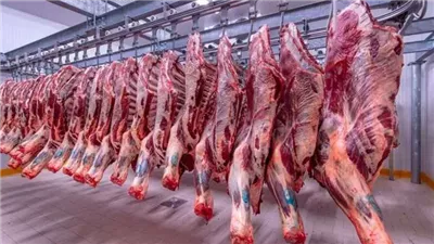 جابت آخرها، ارتفاع غير مسبوق في أسعار اللحوم الكندوز بالأسواق