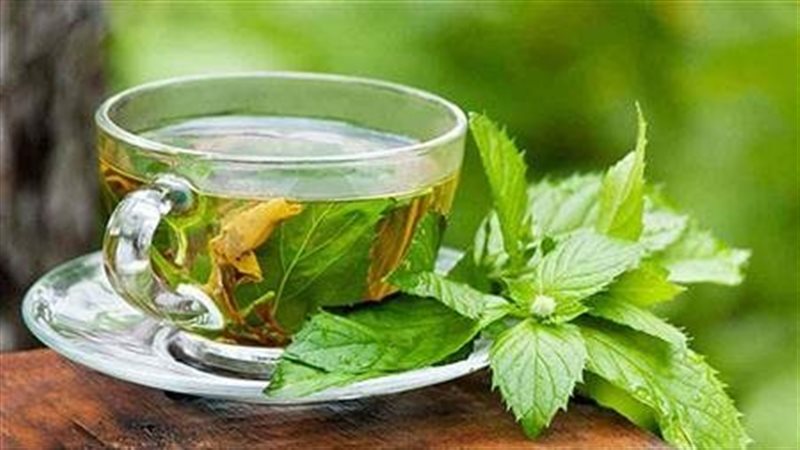الشاى الأخضر 