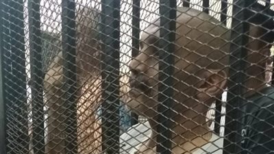 للمرة الثانية، إحالة أوراق قاتل جواهرجي بولاق أبو العلا للمفتي 