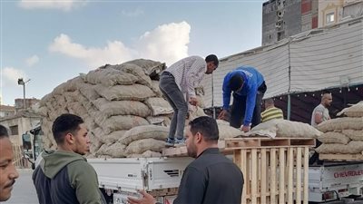 الزراعة: تسليم تقاوي البطاطس للمزارعين بـ 69,5 ألف جنيه للطن